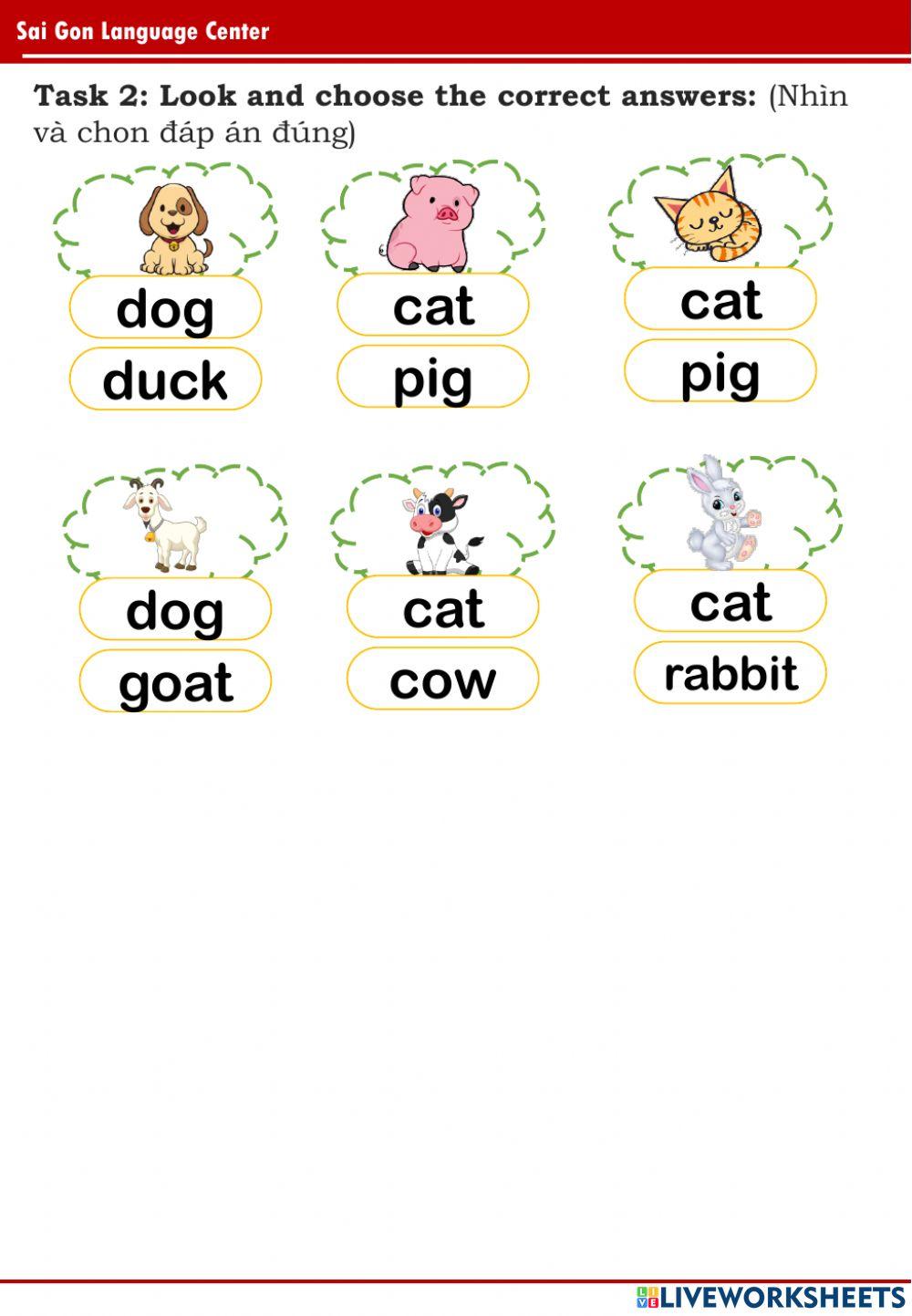 PPD A5 - Eagle (19.8..2022)