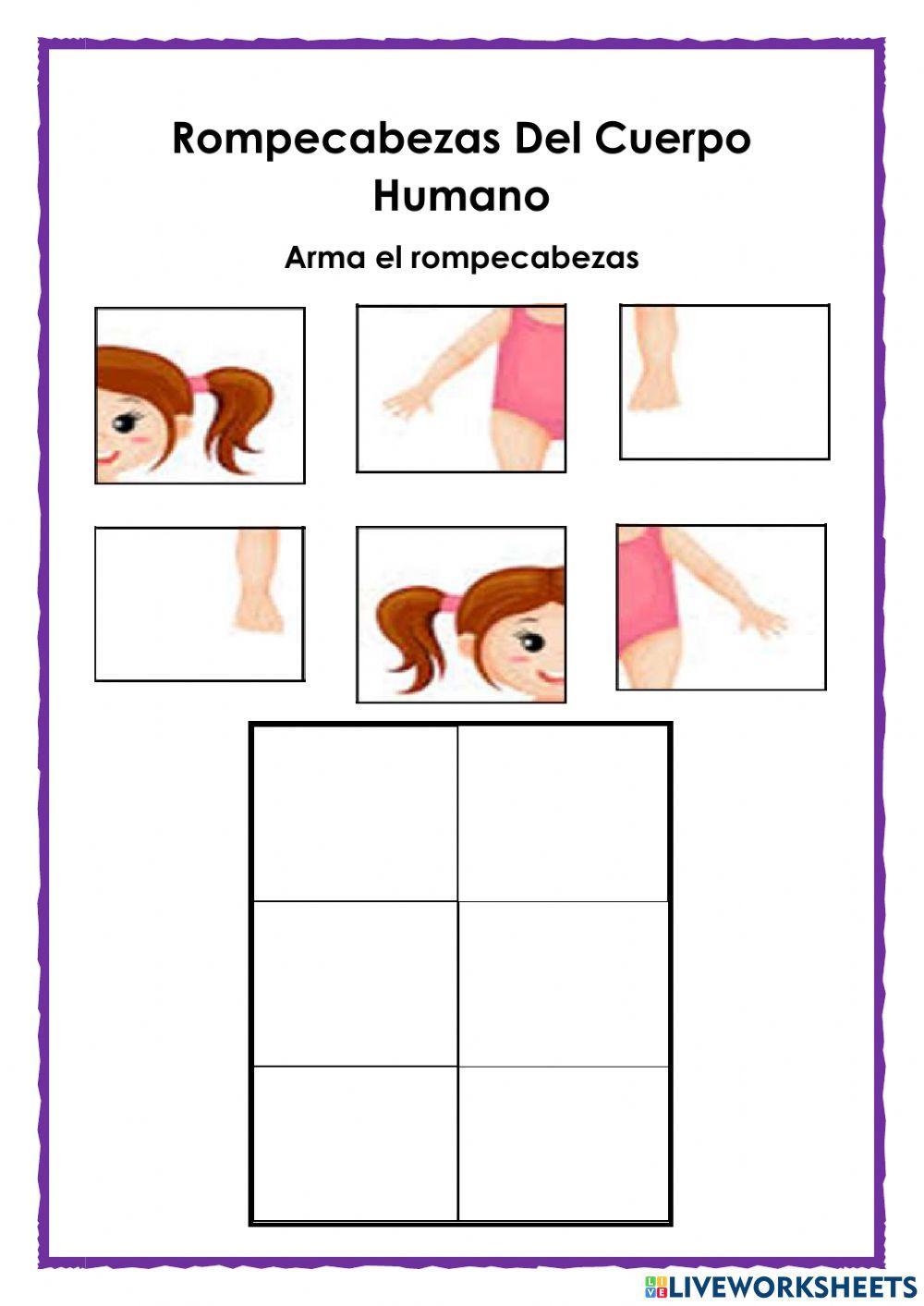 Rompecabezas del cuerpo humano