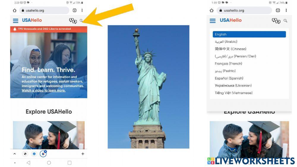 Find Website Language Options