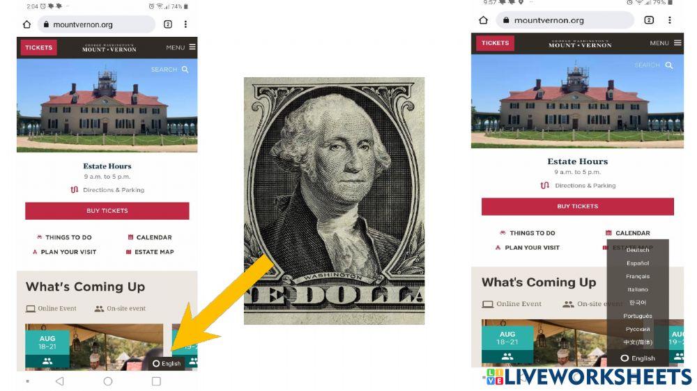 Find Website Language Options