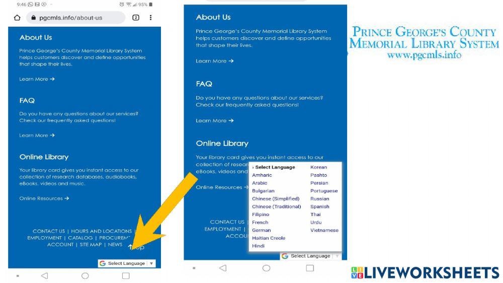 Find More Website Language options