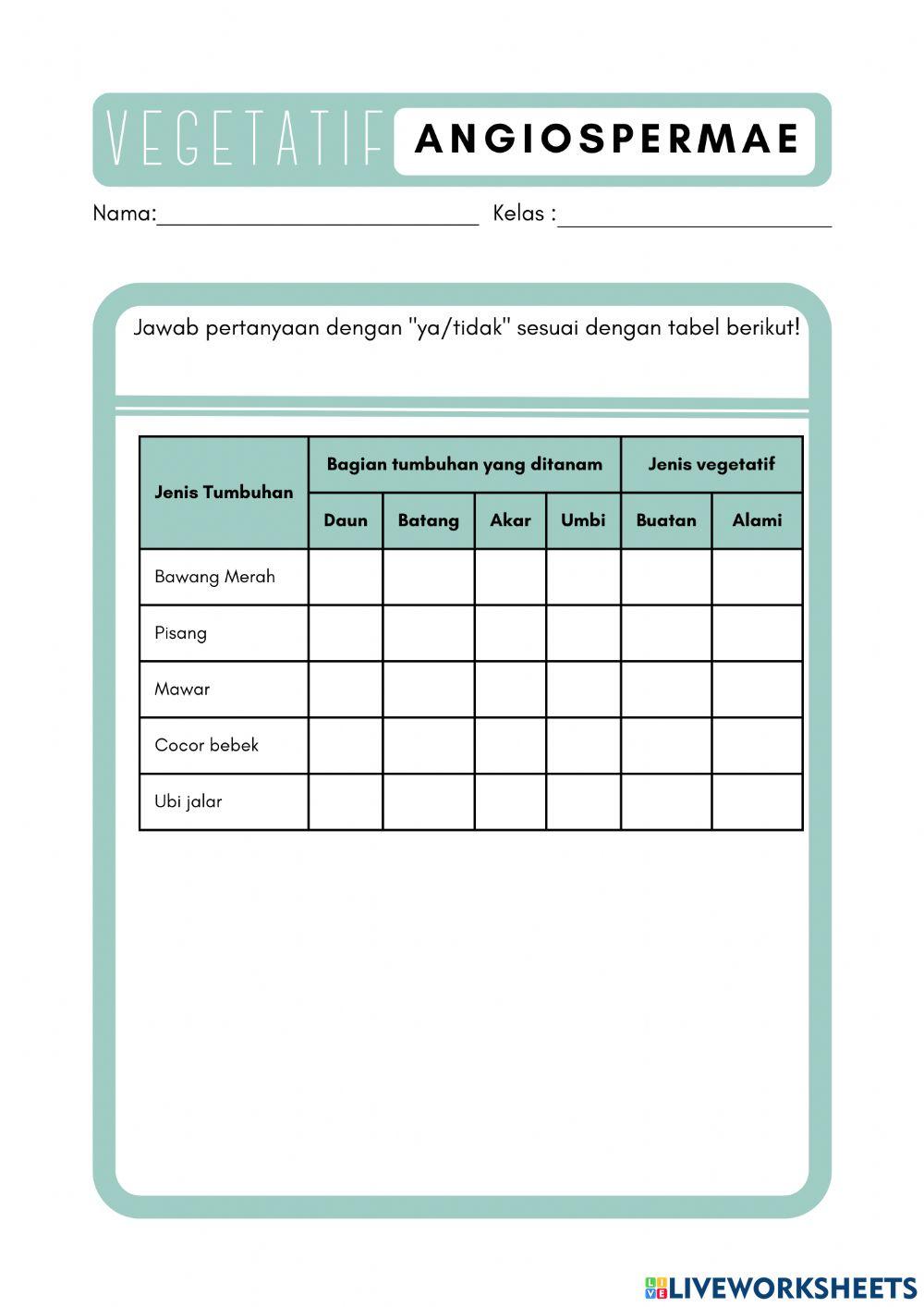 Vegetatif angiospermae