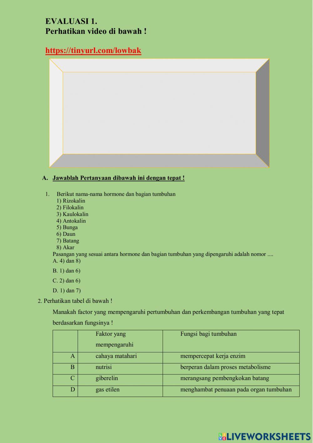 LKPD Pertumb& Perkem Tumb