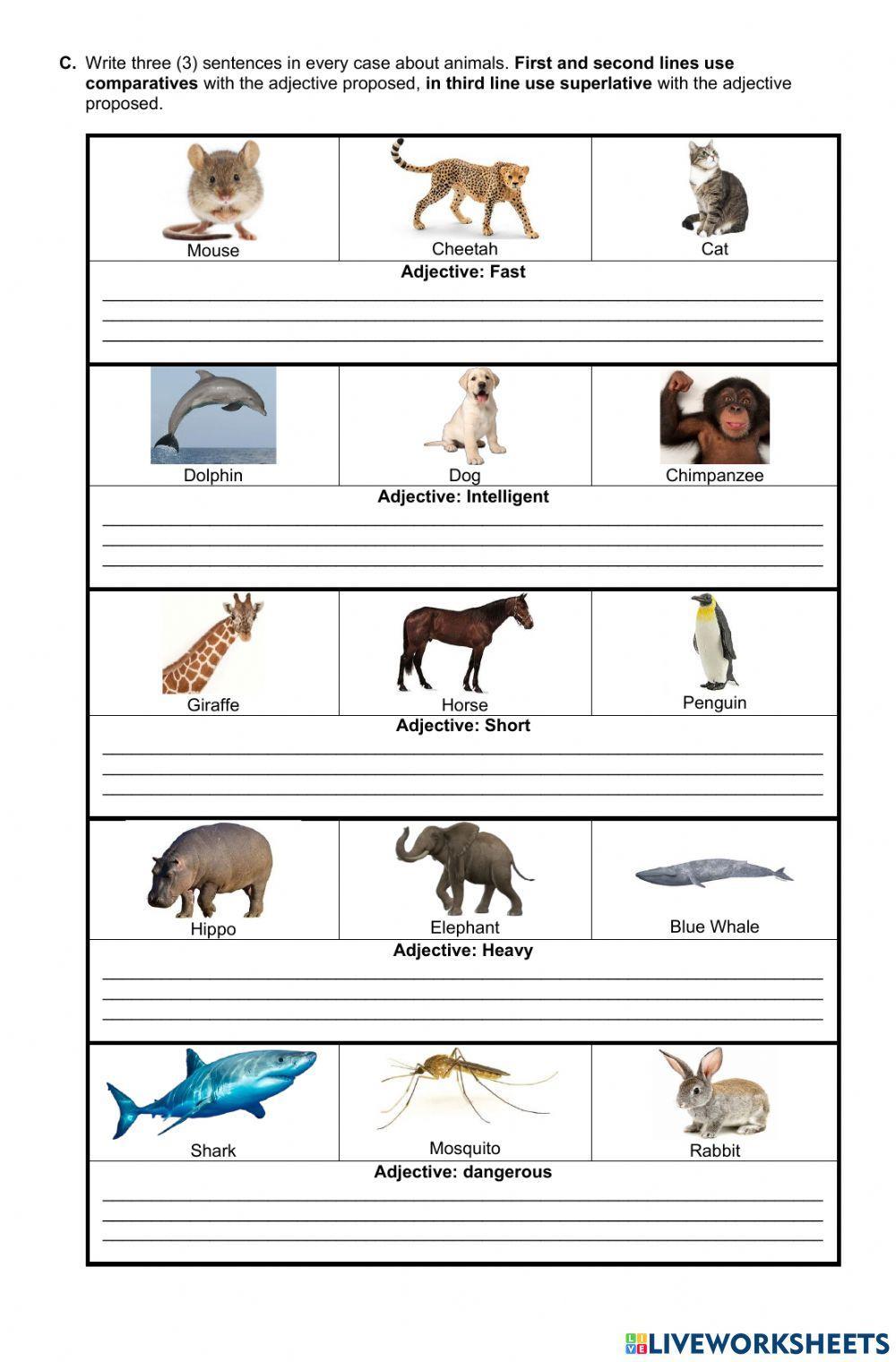 Comparatives and Superlatives