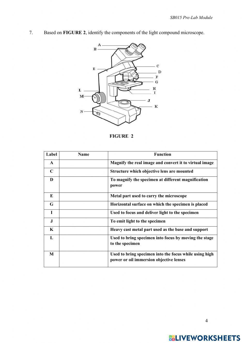 PRE LAB EXP 1 BASIC TECHNIQUE OF MICROSCOPY online exercise for | Live ...