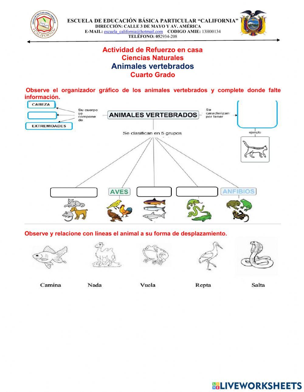 Animales vertebrados