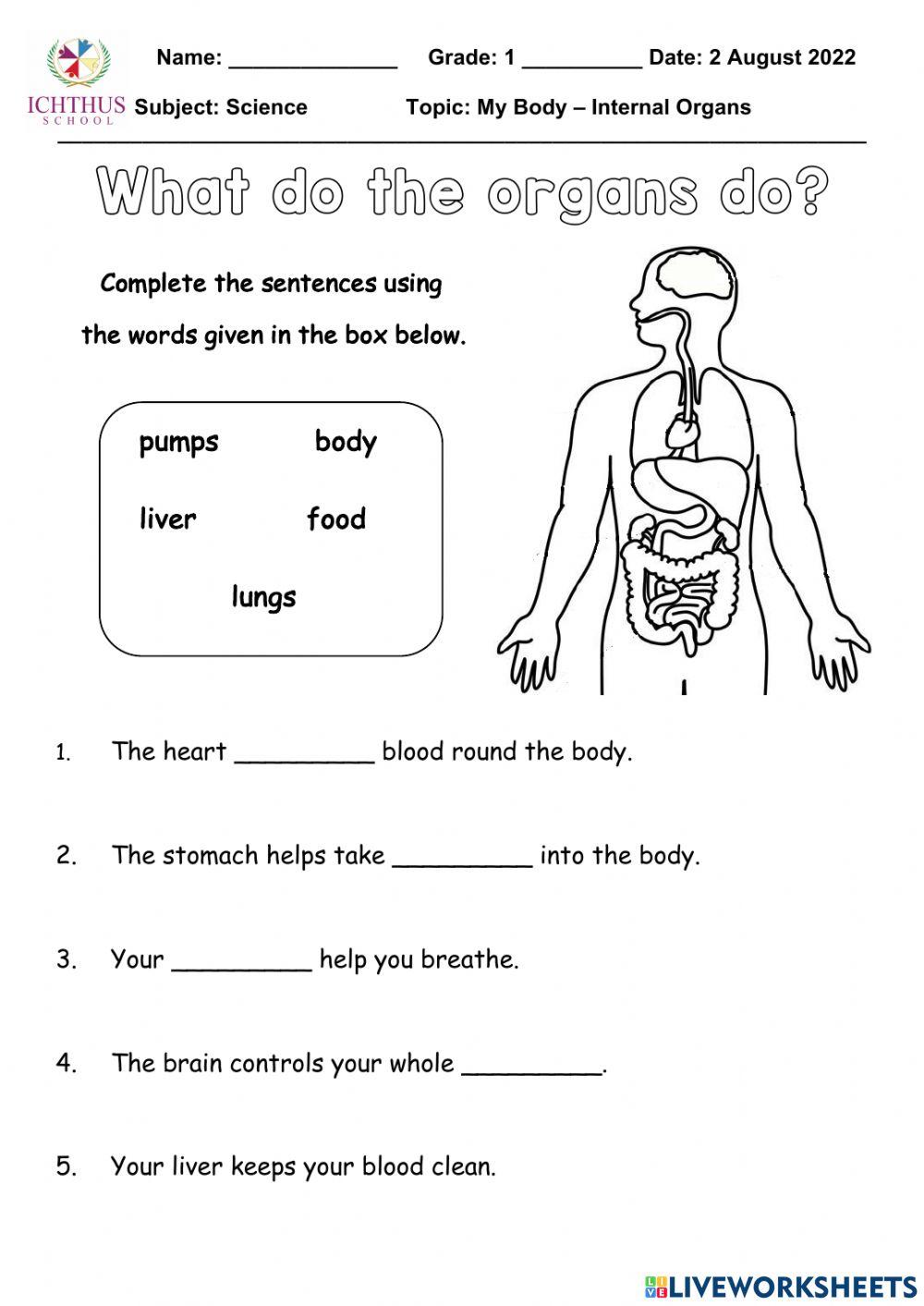 Organs Organs