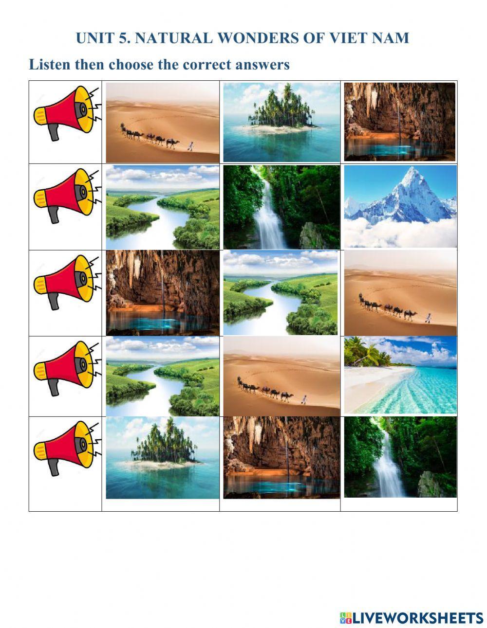 Vocabulary Unit 5 English 6 Global Success