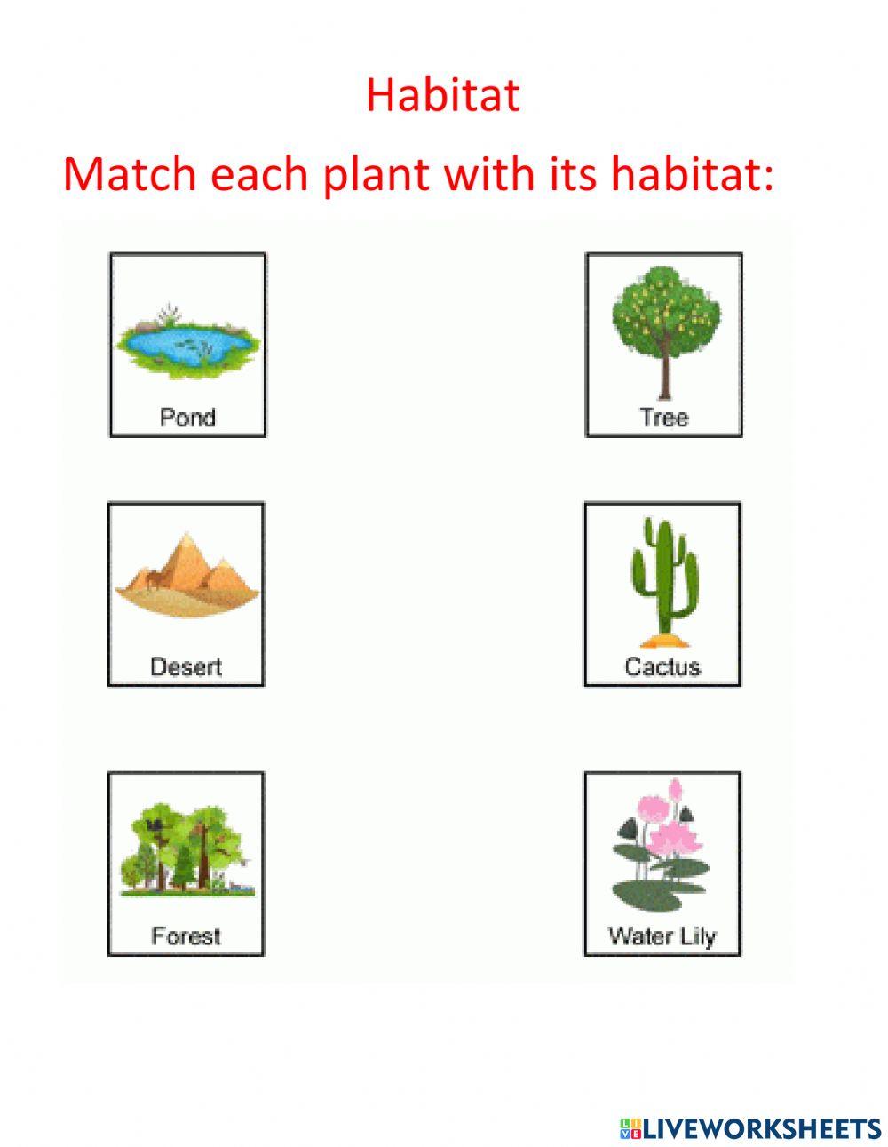Plant habitat