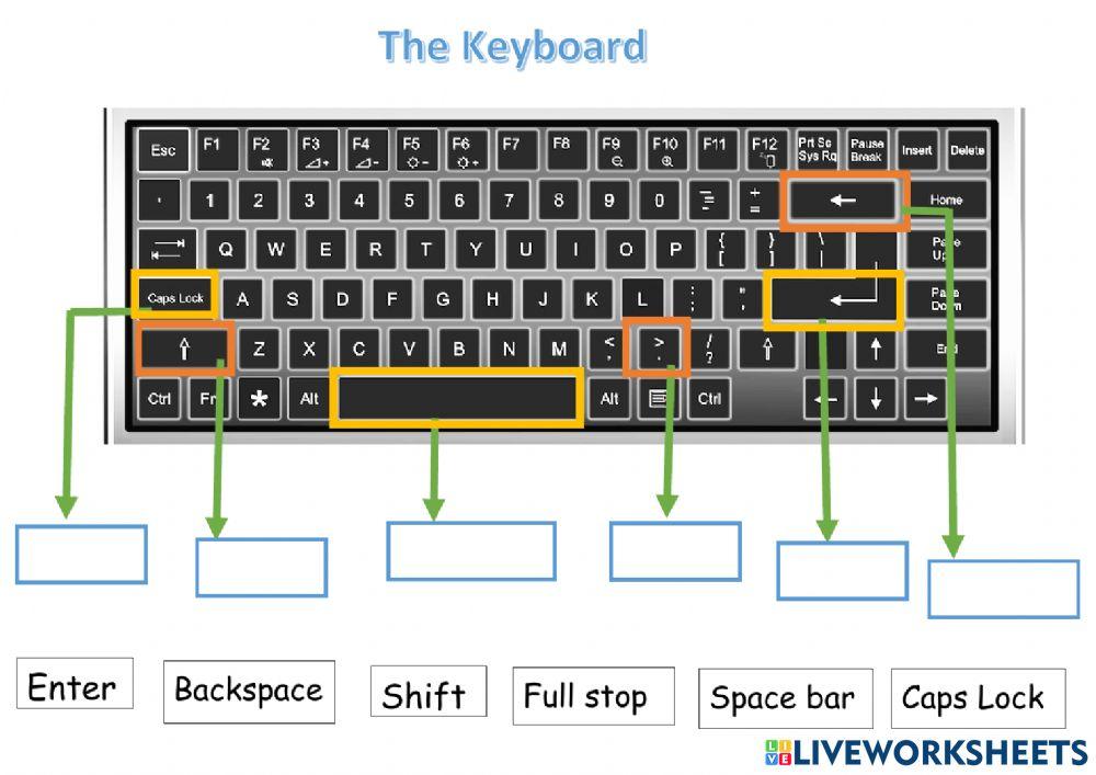 The Keyboard | Jennifer Andres Ruiz | Live Worksheets