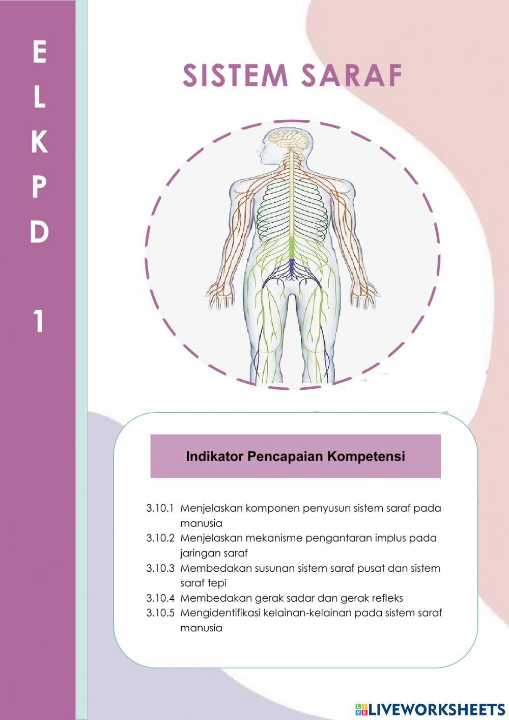 E-LKPD Interaktif 1: Sistem Saraf