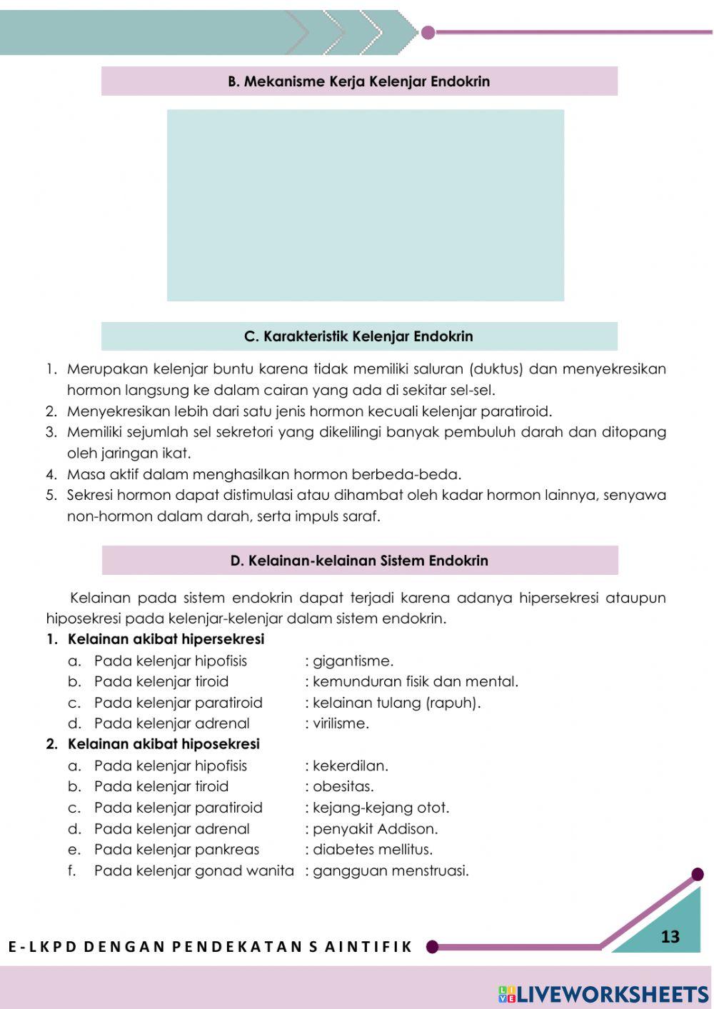 E-LKPD Interaktif 2: Sistem Endokrin