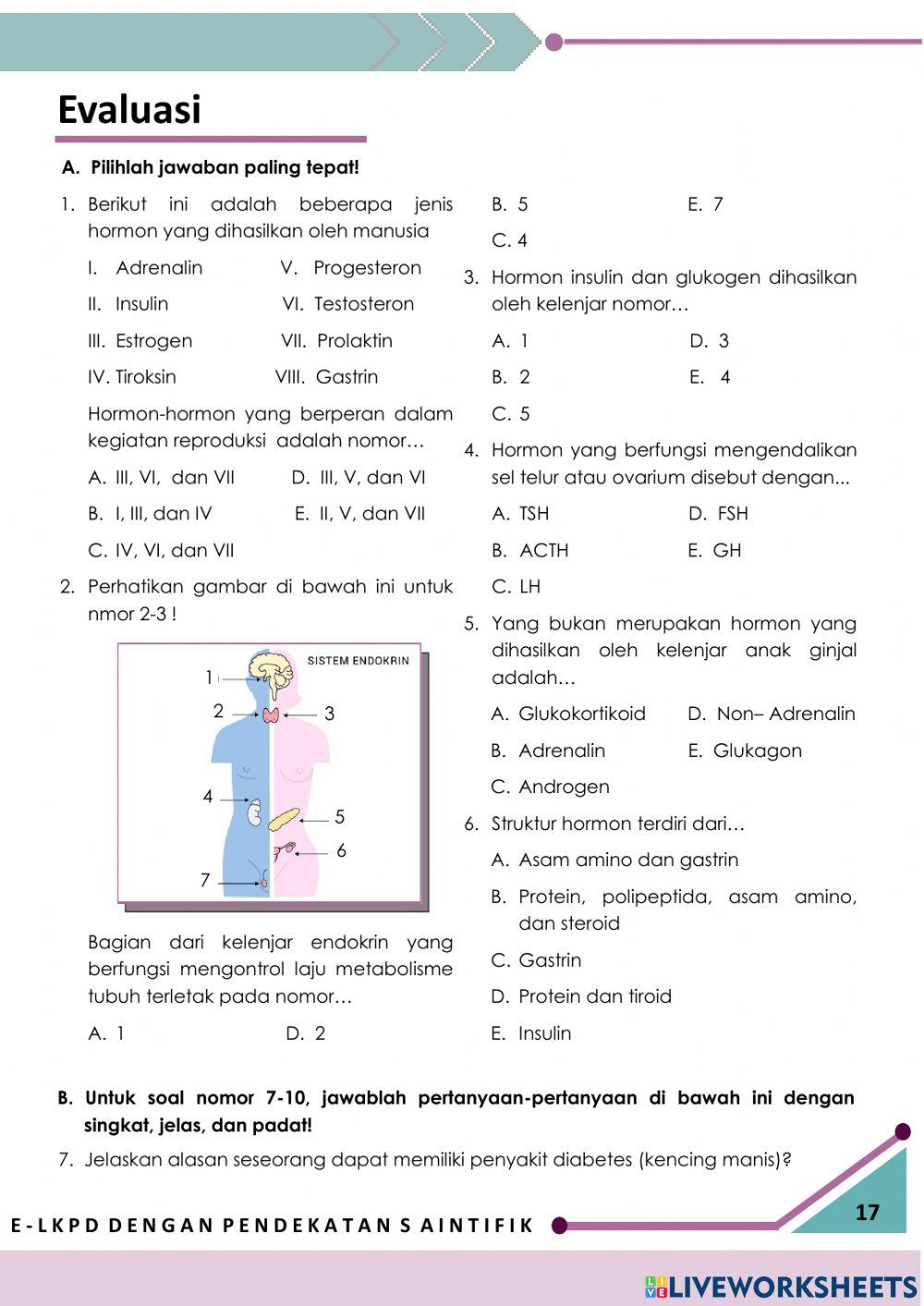 E-LKPD Interaktif 2: Sistem Endokrin