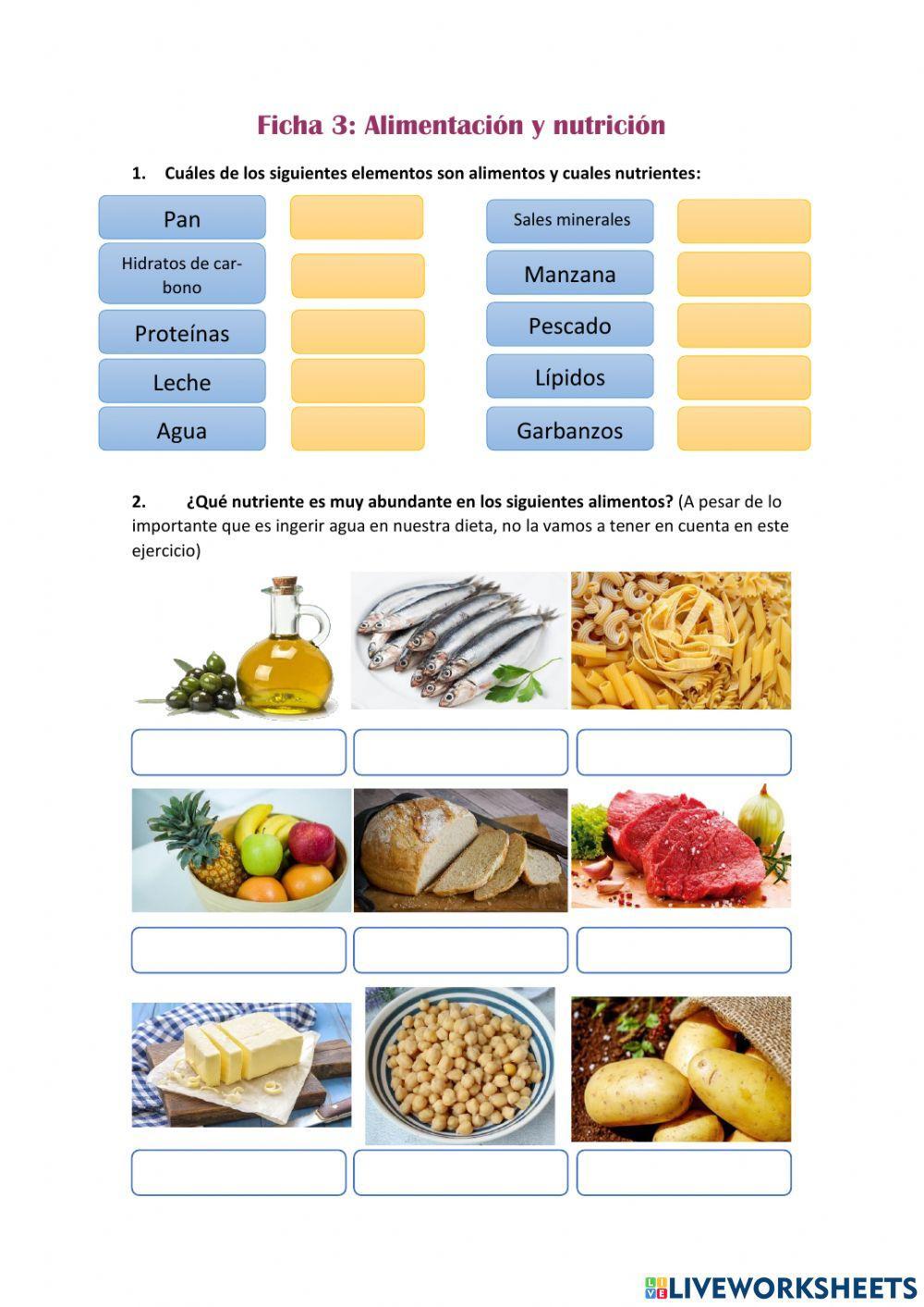 Alimentación y nutrición