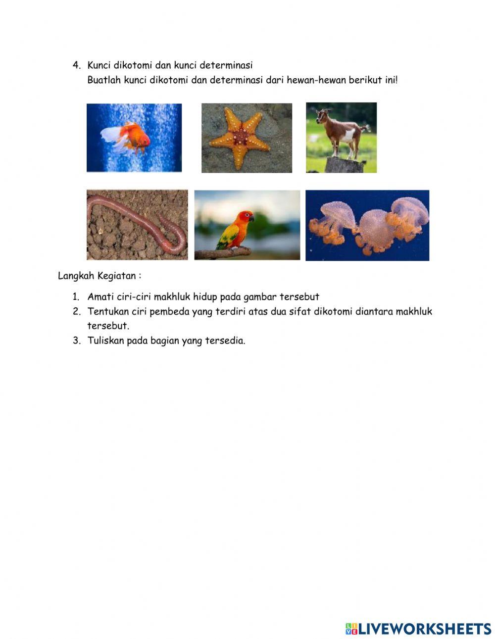 UH 1 KLASIFIKASI MAKHLUK HIDUP 