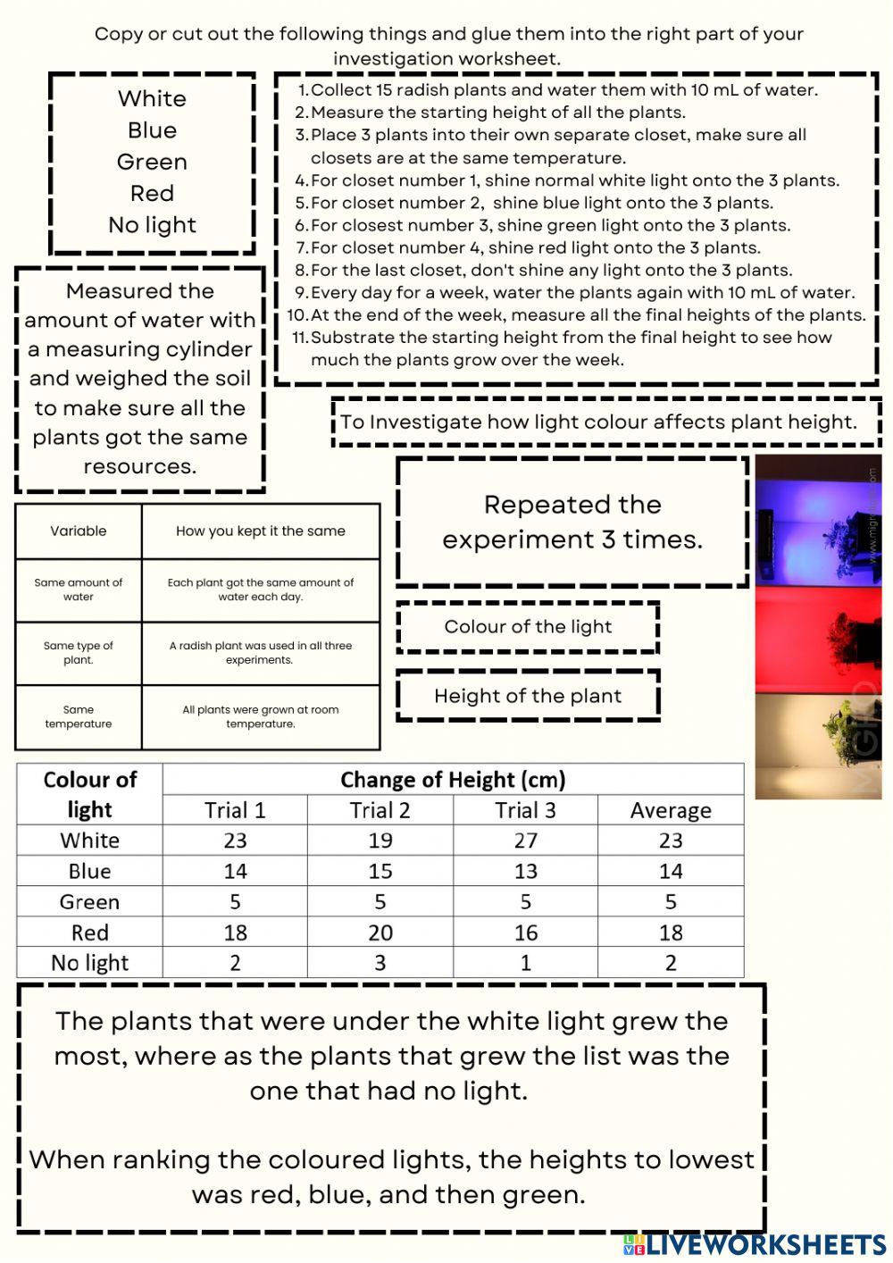 Plant and Light Investigation