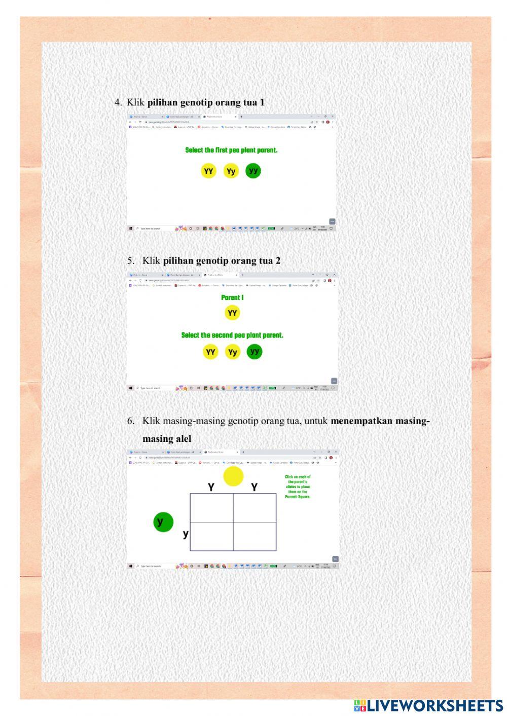 LKPD PERSILANGAN MONOHIBRID