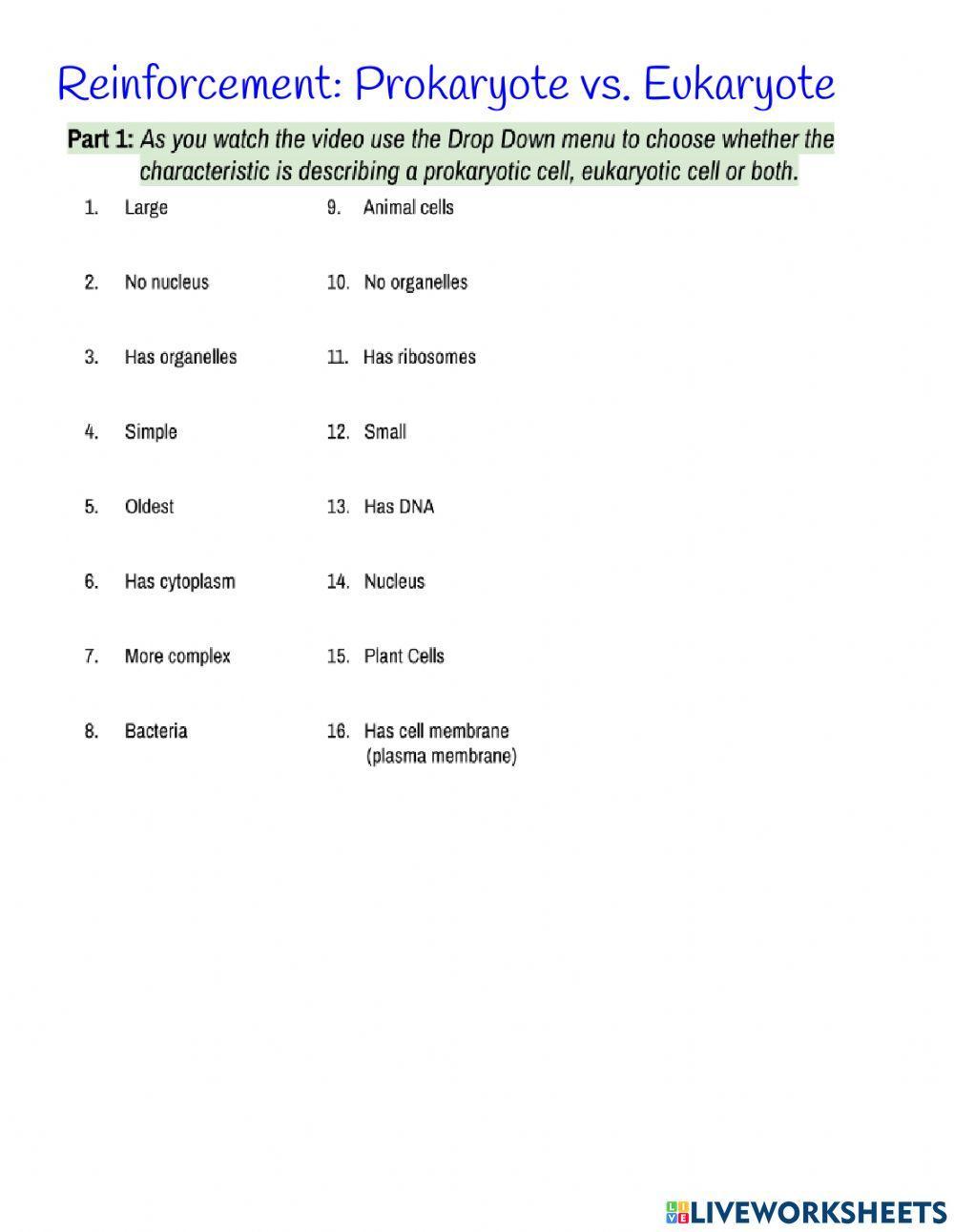 2121932 Prokaryote Vs Eukaryote Jennifer Redhead