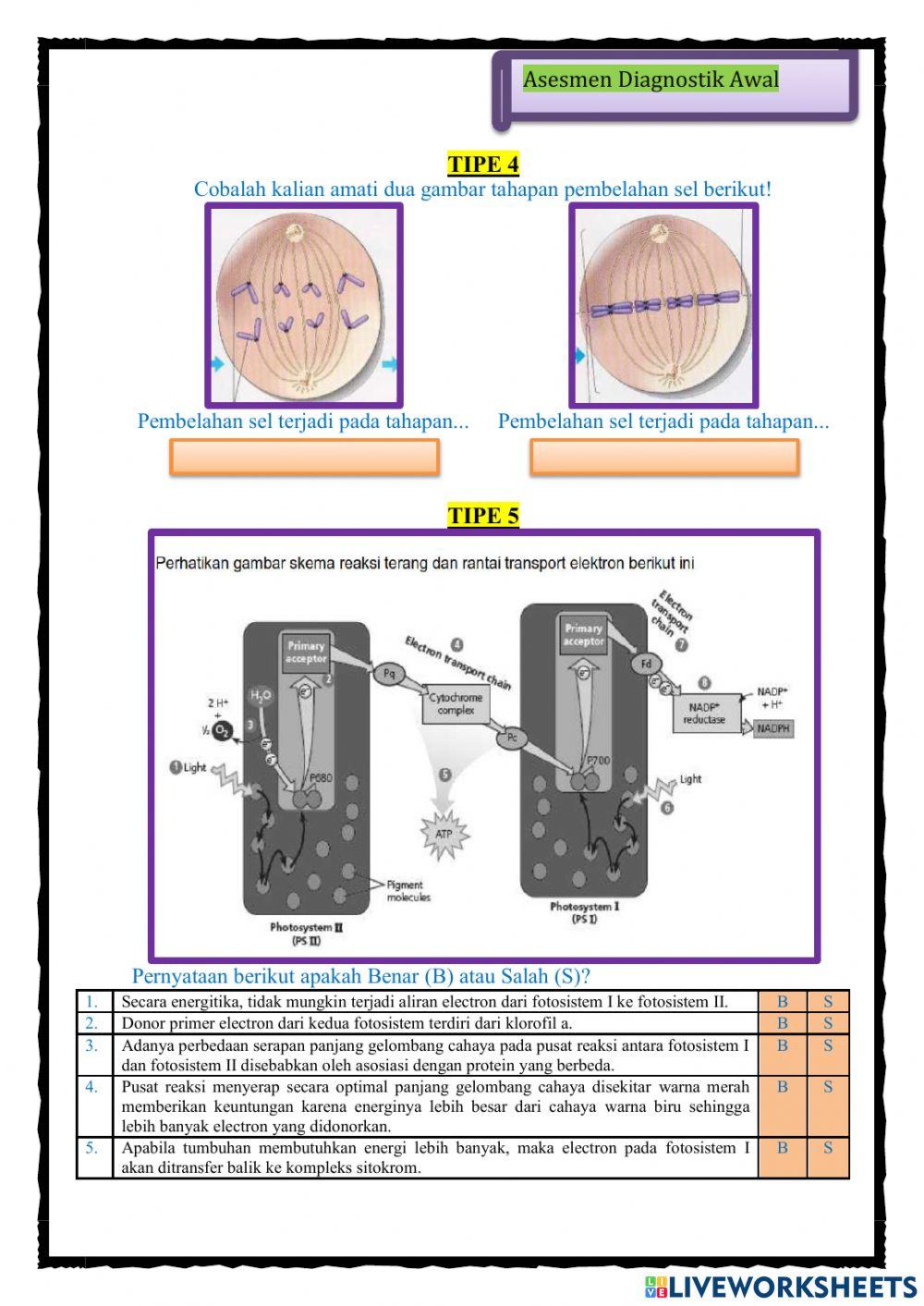 DN-smtI2223-Asesmen Diagnostik Awal-