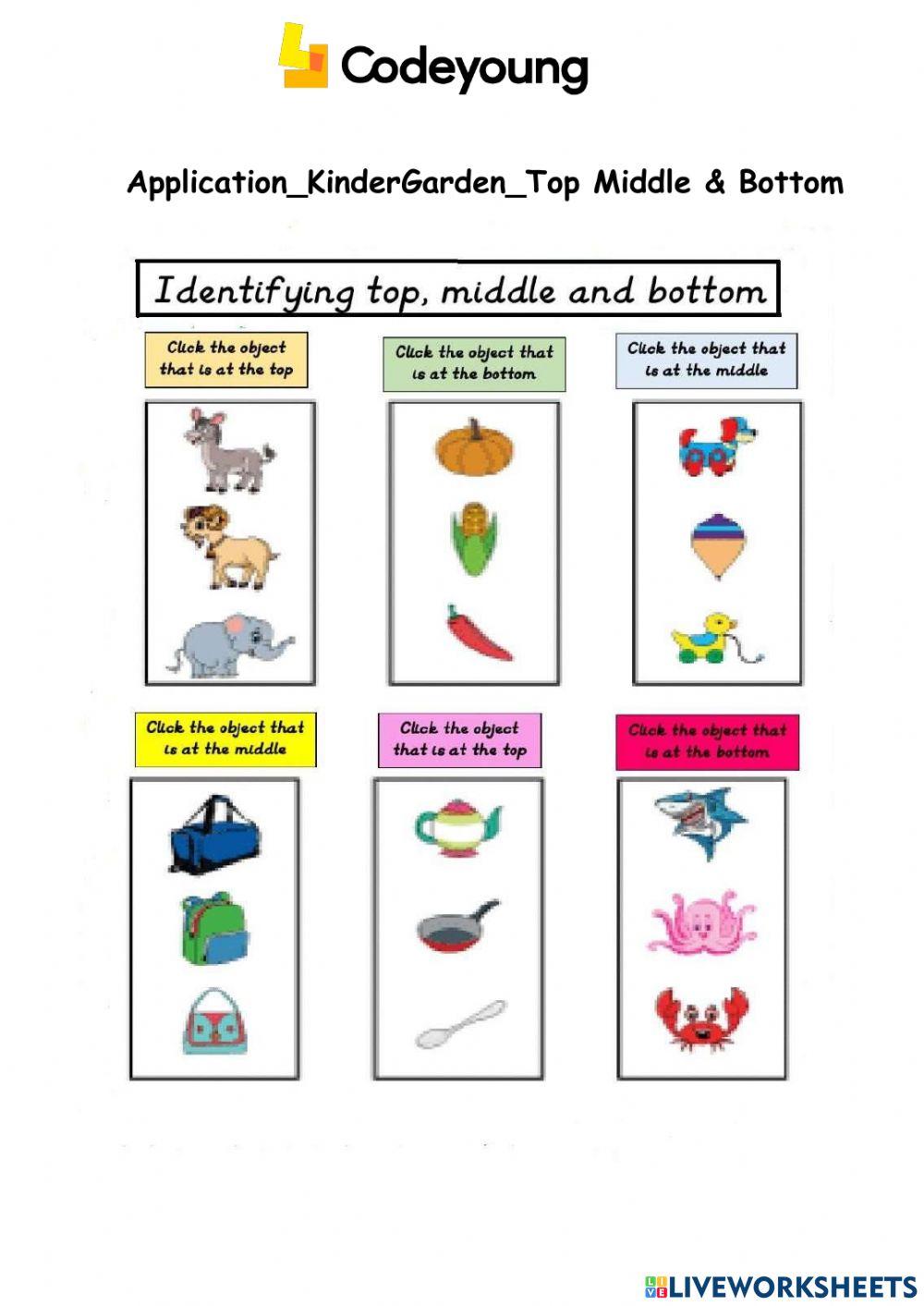Top Middle Bottom Printable Worksheets