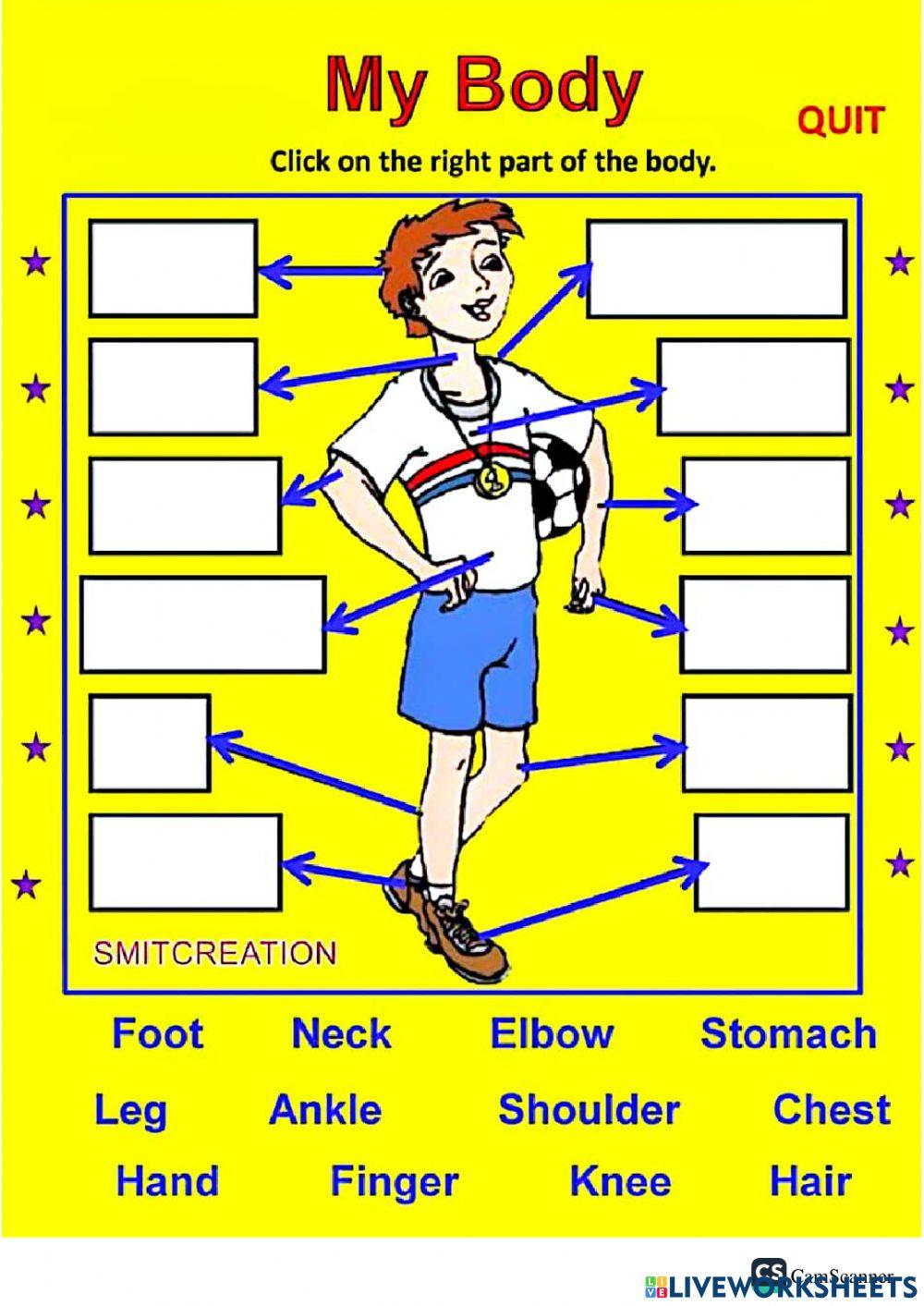 Body parts Body parts