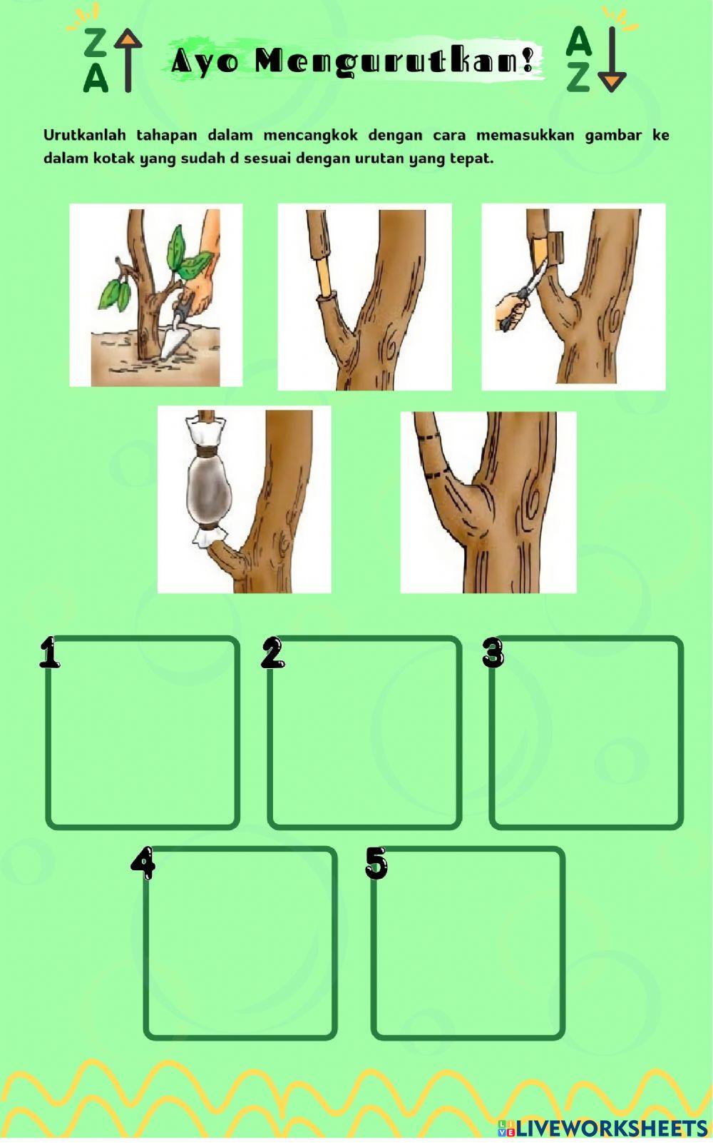 Elektronik-Lembar Kerja Peserta Didik Materi Budi Daya Tanaman Kelas IV Pembelajaran 2