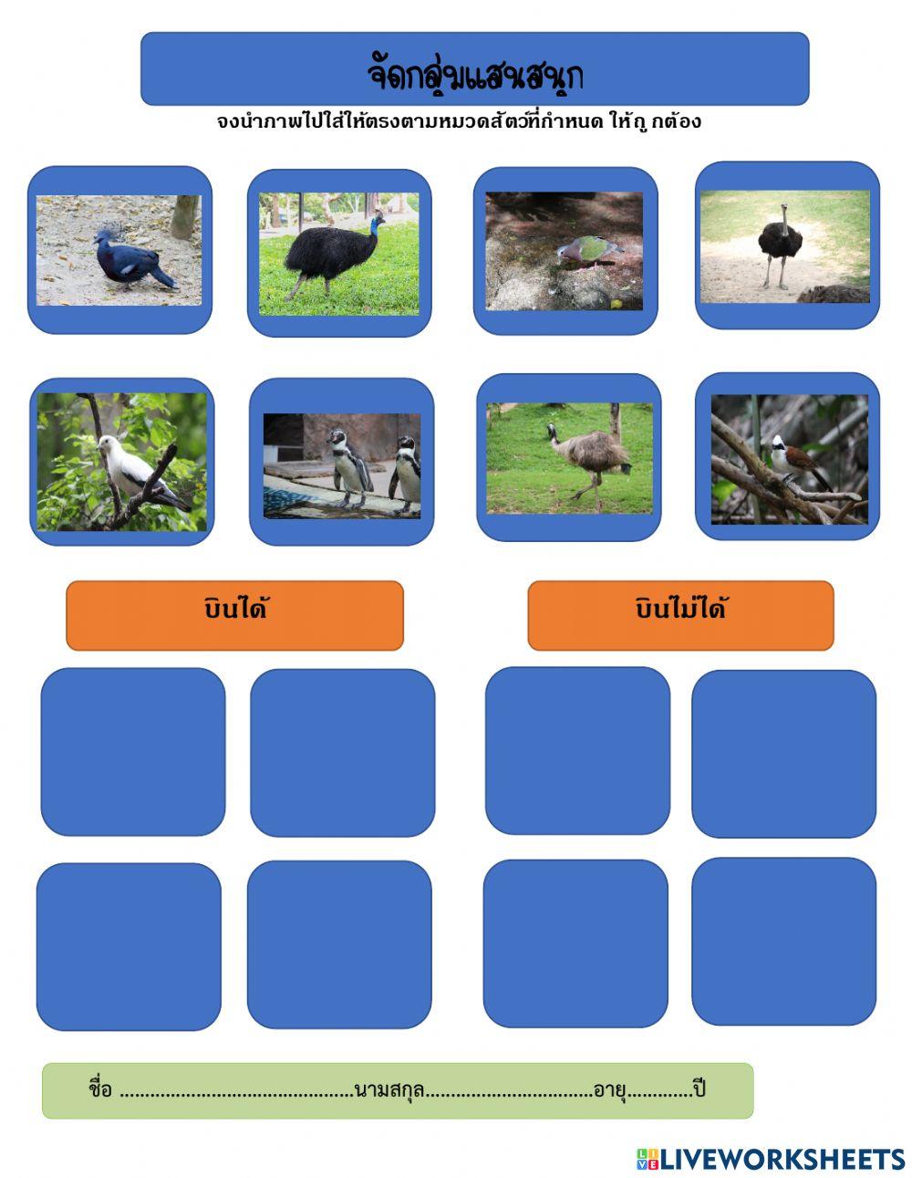 จัดกลุ่มแสนสนุก