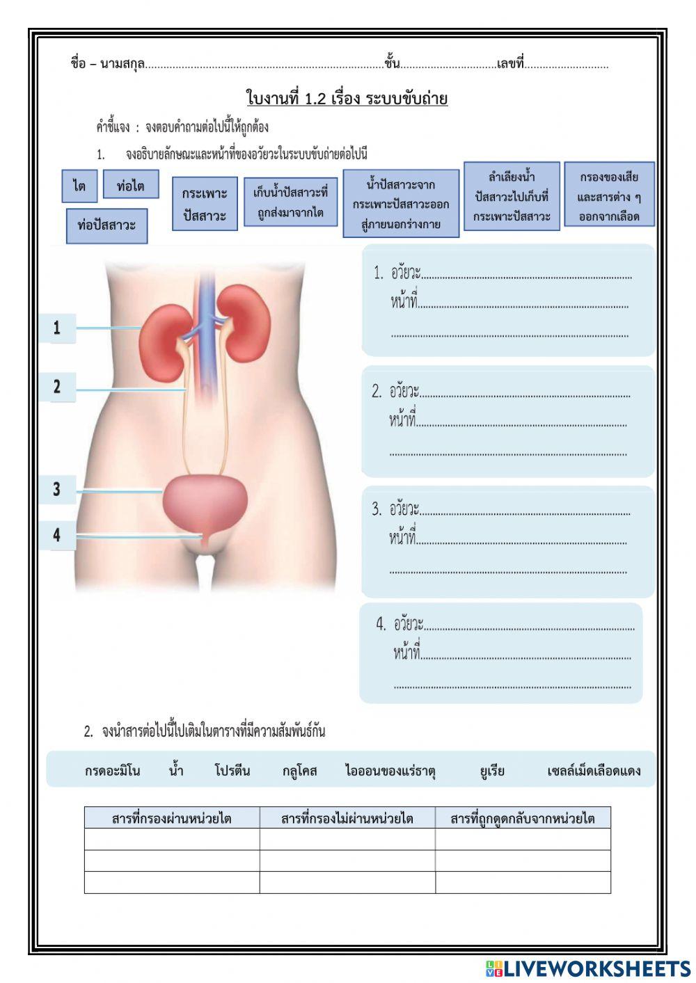 ระบบขับถ่าย