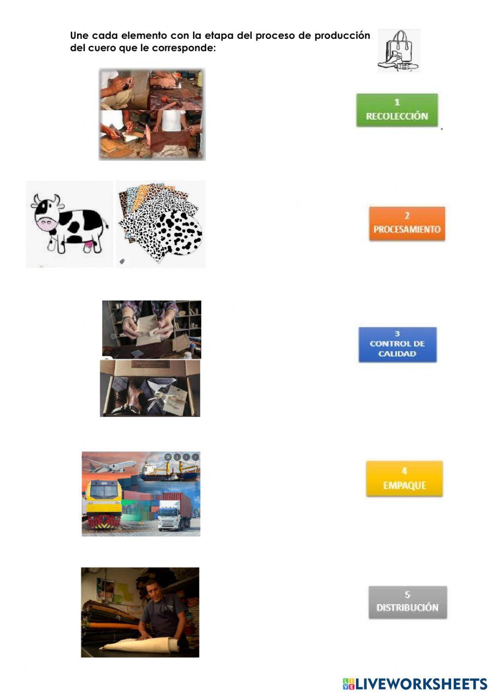 Producción cuero