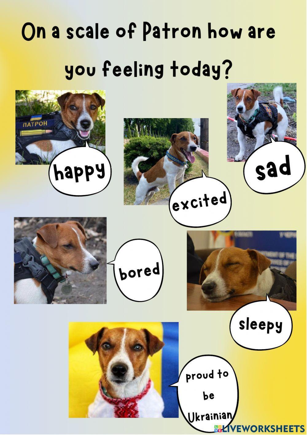 Ukraine. Independence Day