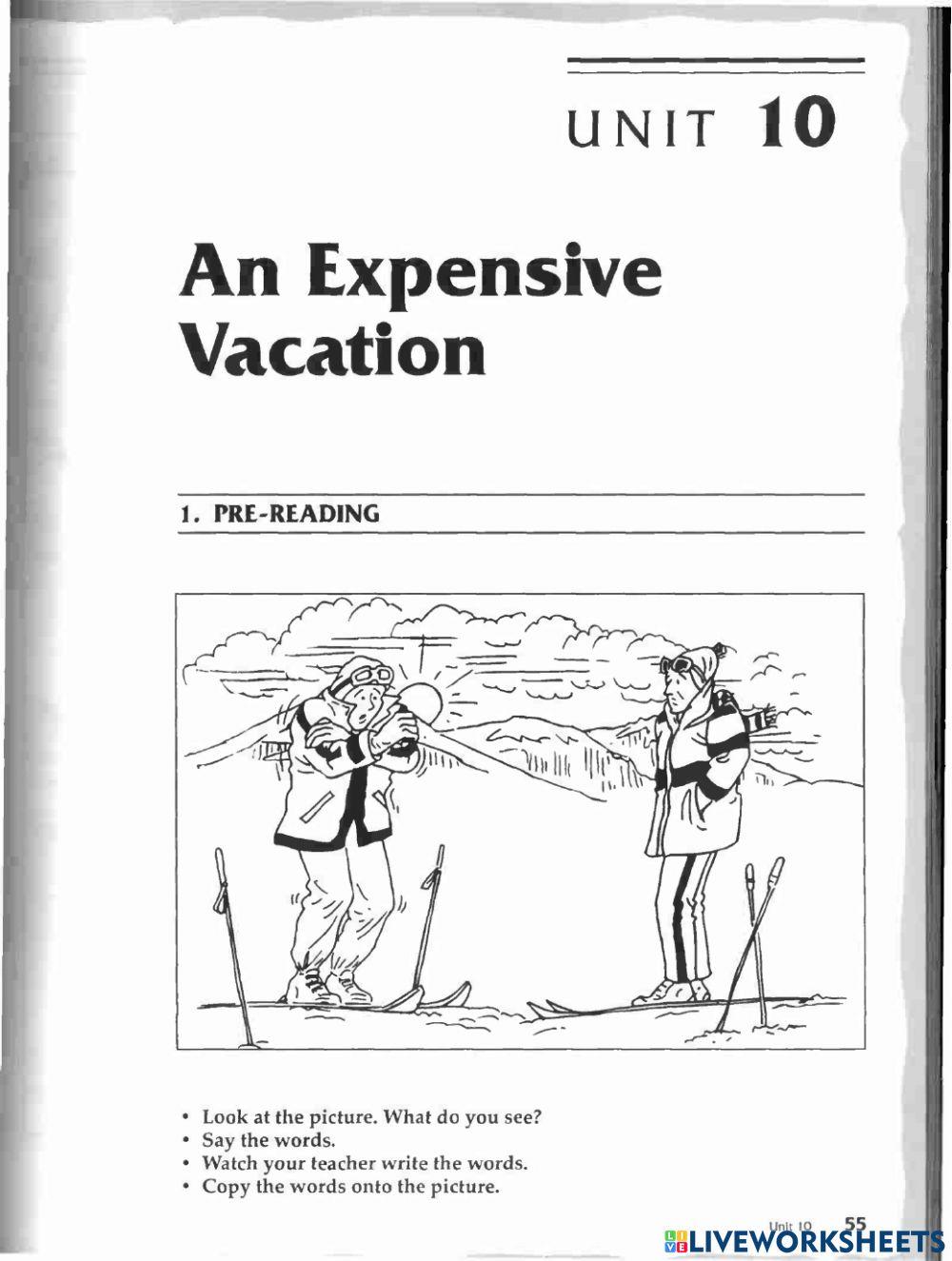 An Expensive Vacation