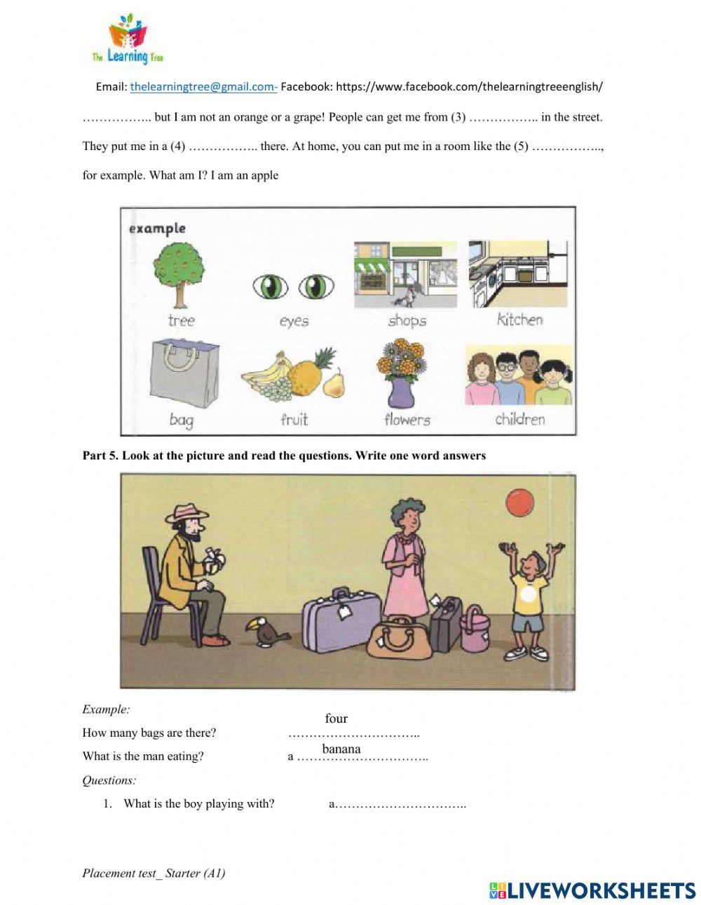 Placement Test Starter