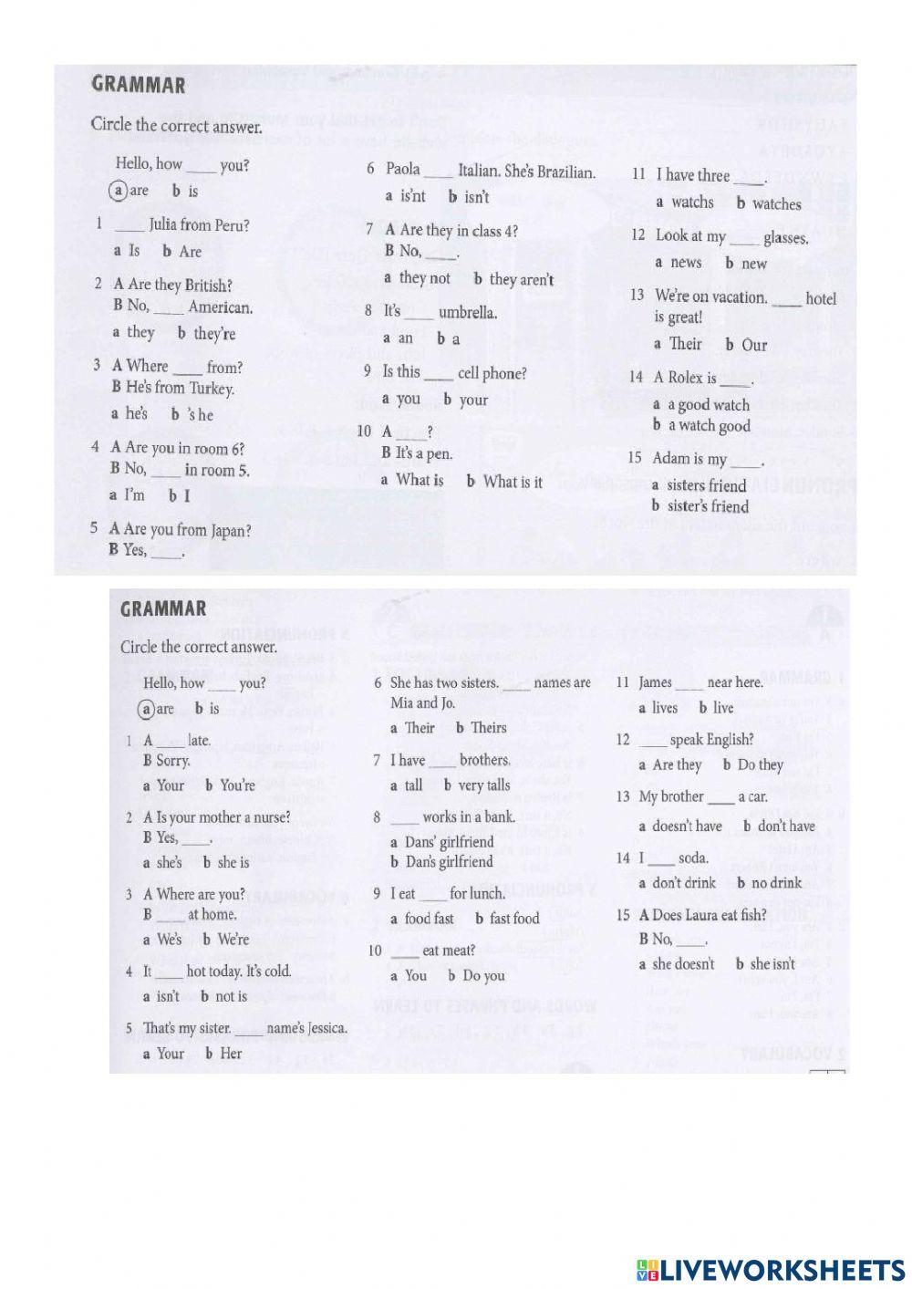 Personal pronoun, ap,