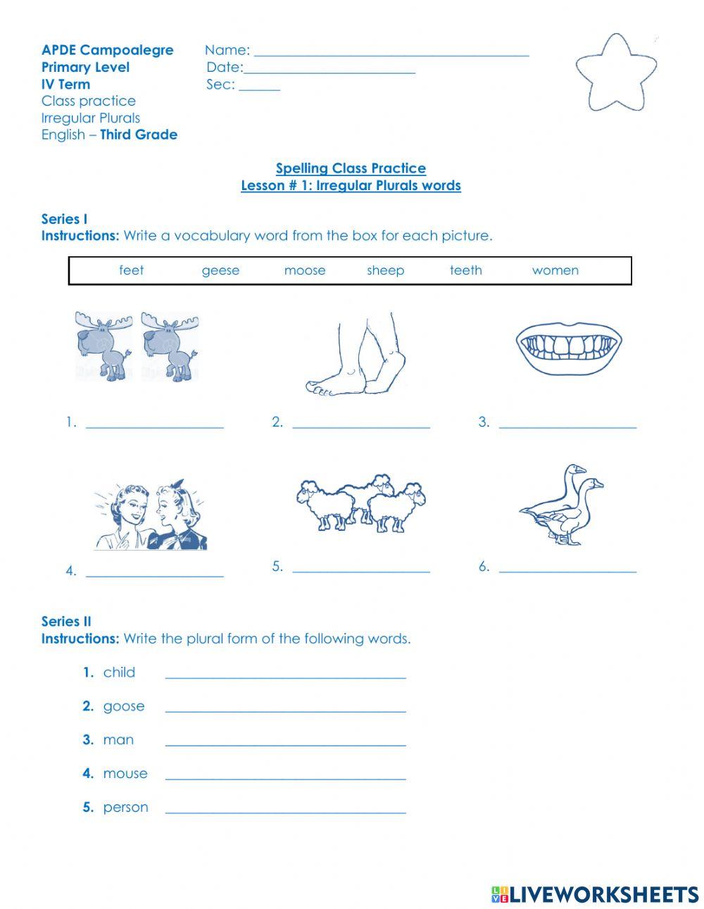 Spelling Lesson 1 - Irregular Plurals CLASS PRACTICE