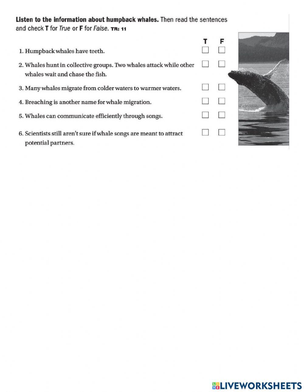 Final Exam Unit 3: Everybody's doing it 