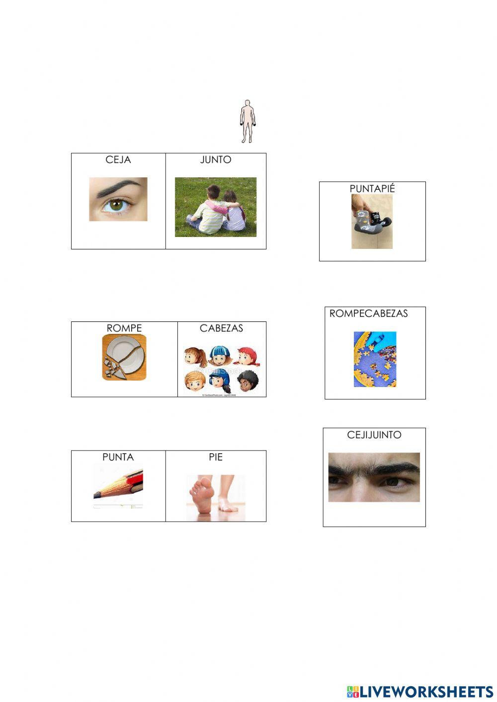 Palabras compuestas-cuerpo
