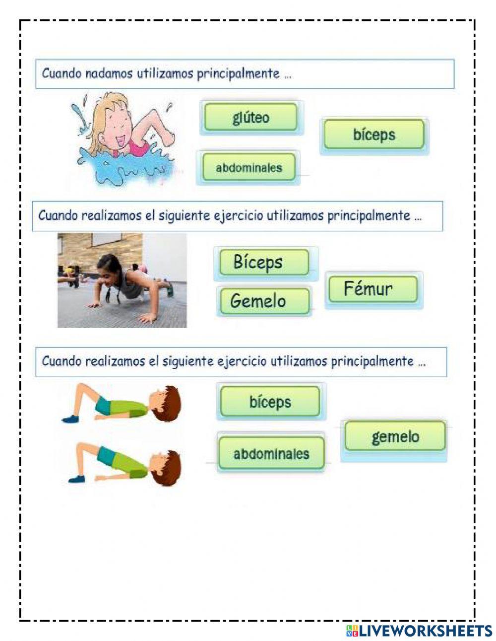 Evaluación educación física
