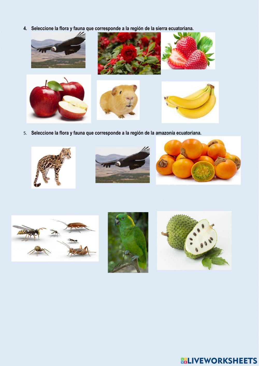 La flora y fauna del Ecuador