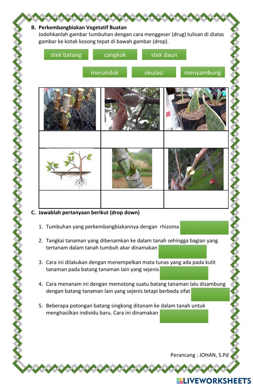 Perkembangbiakan tumbuhan