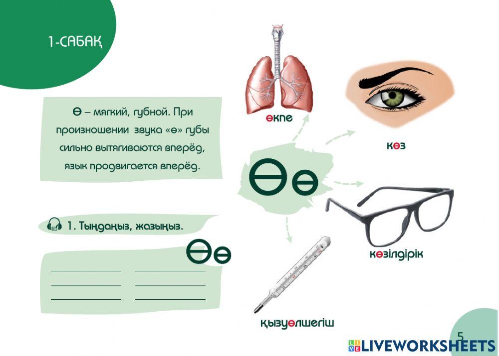 А1 24-сағаттық курс Денсаулық 1-сабақ. Кіріспе