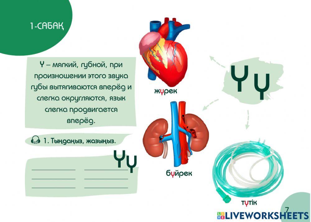А1 24-сағаттық курс Денсаулық 1-сабақ. Кіріспе