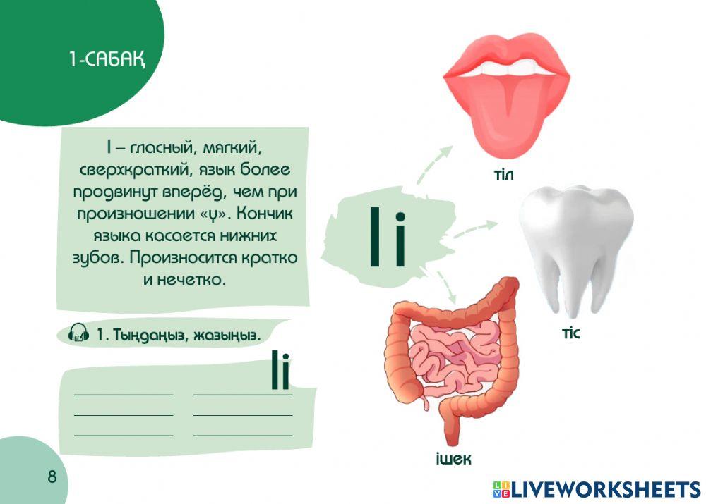 А1 24-сағаттық курс Денсаулық 1-сабақ. Кіріспе