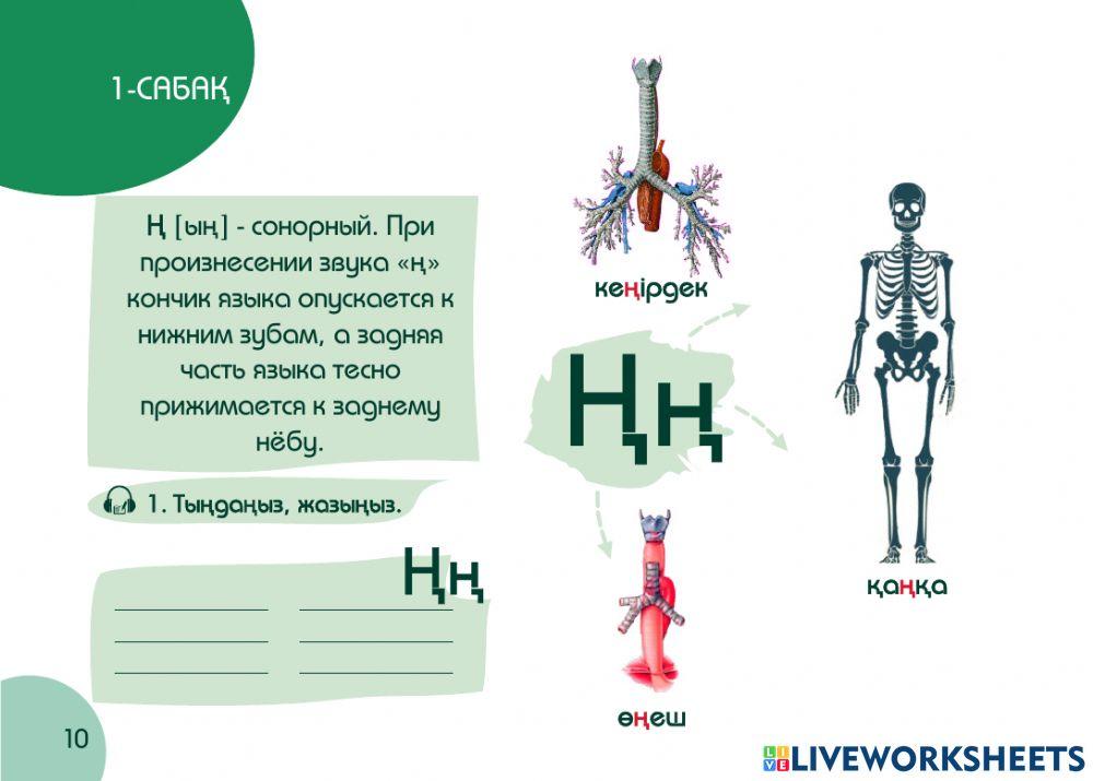 А1 24-сағаттық курс Денсаулық 1-сабақ. Кіріспе
