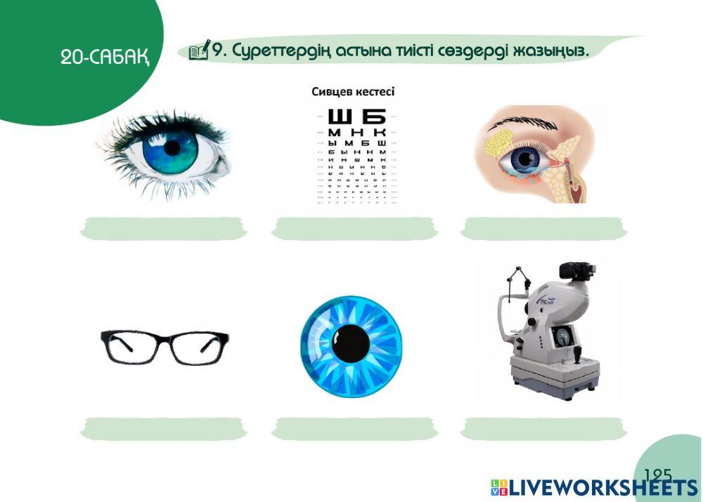 А1 24-сағаттық курс Денсаулық  20-сабақ. Офтальмолог