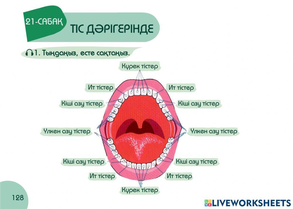 А1 24-сағаттық курс Денсаулық  21-сабақ. Тіс дәрігерінде