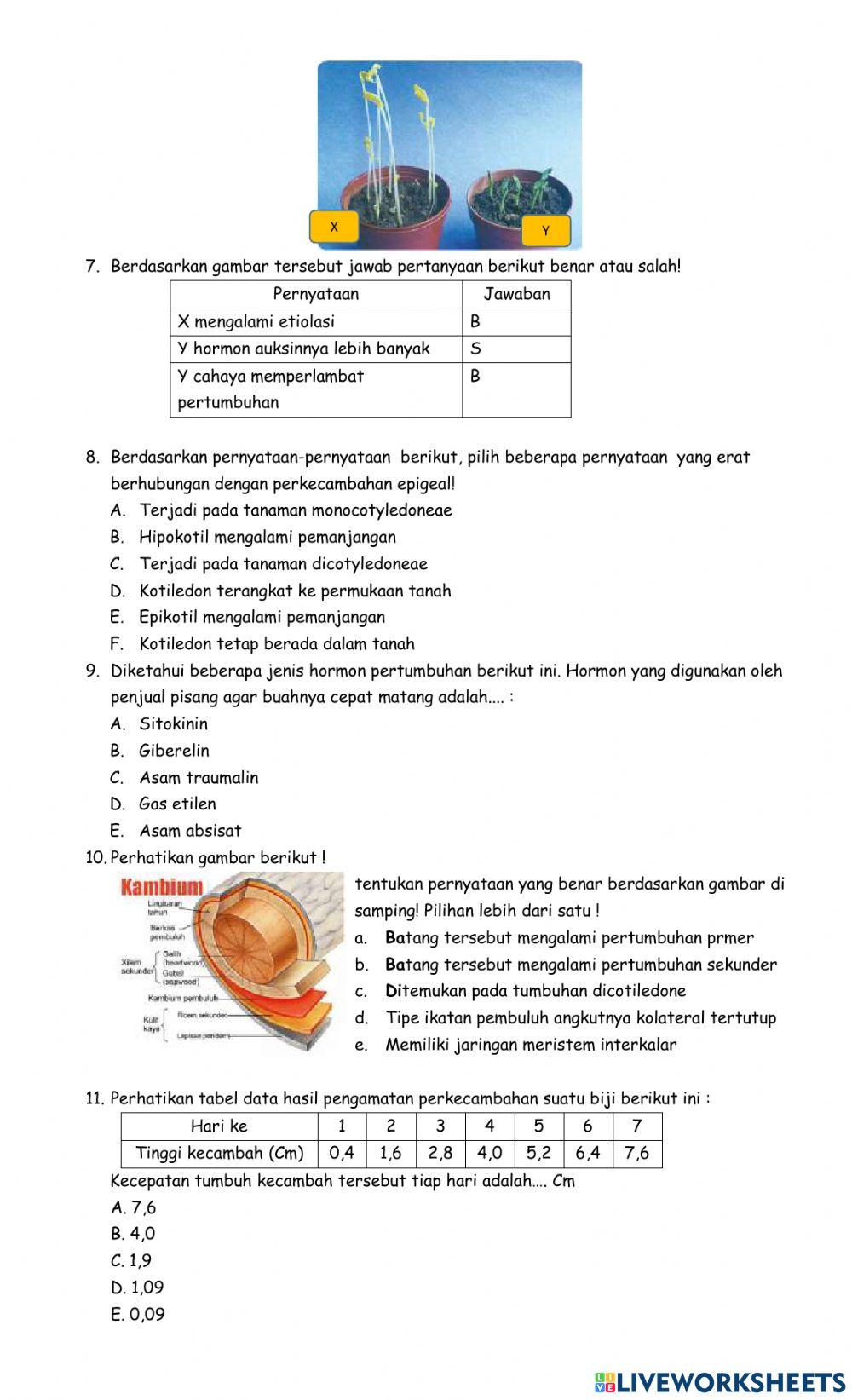 Pertumbuhan pada tumbuhan