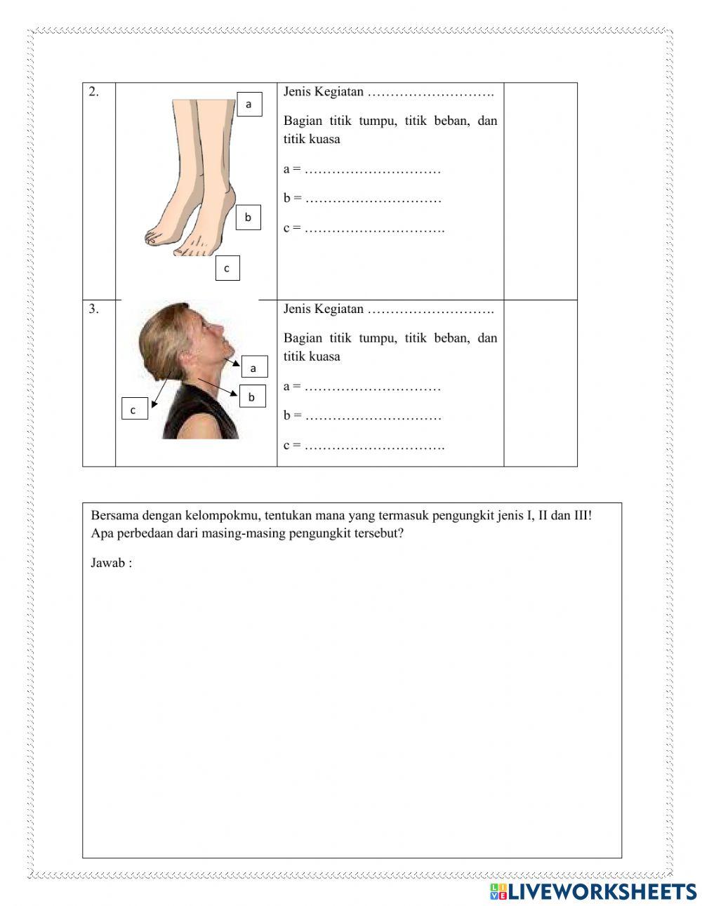 LKPD Usaha dan Pesawat Sederhana 4