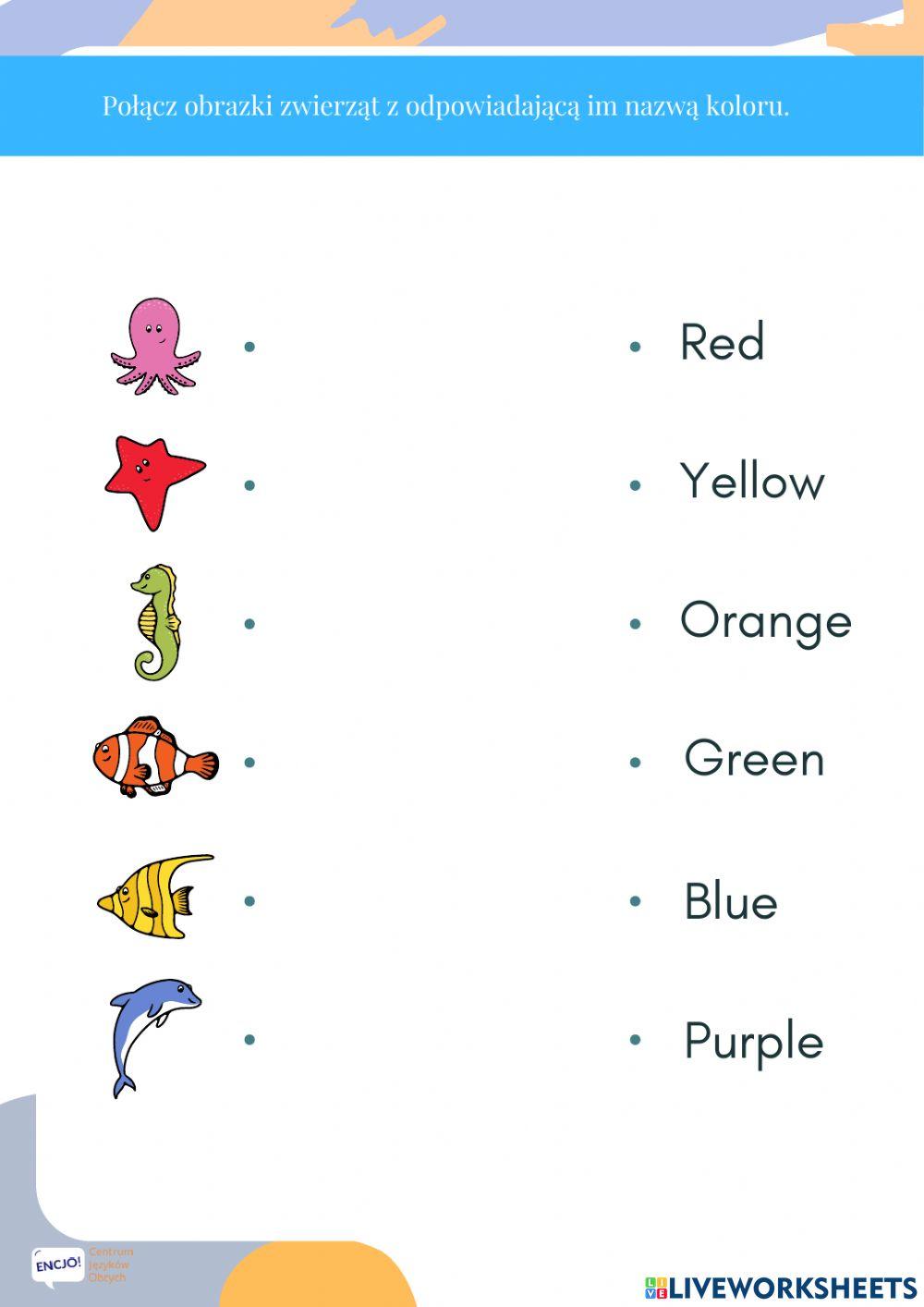 Colours, ocean animals