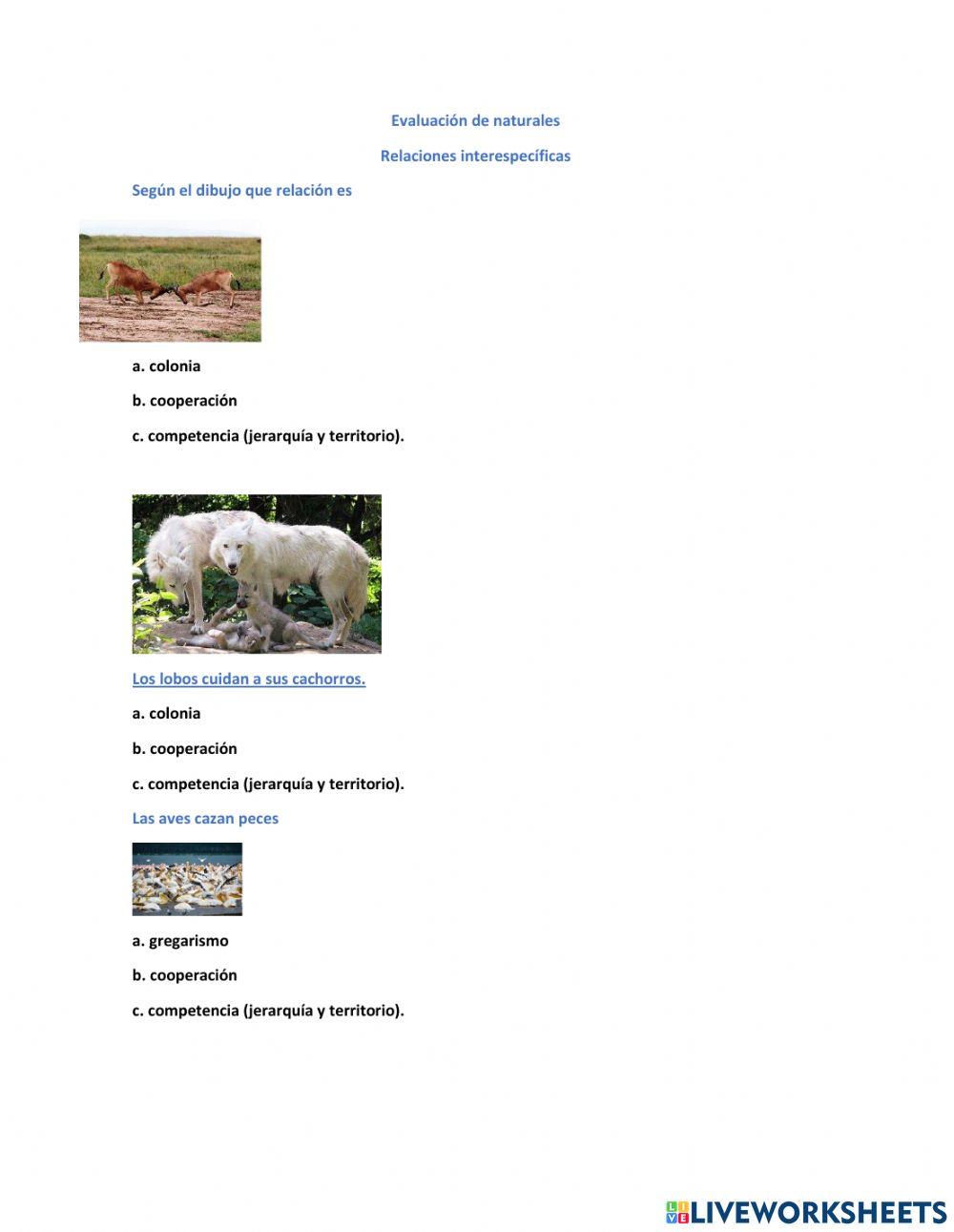 Evaluacion intrapersonal