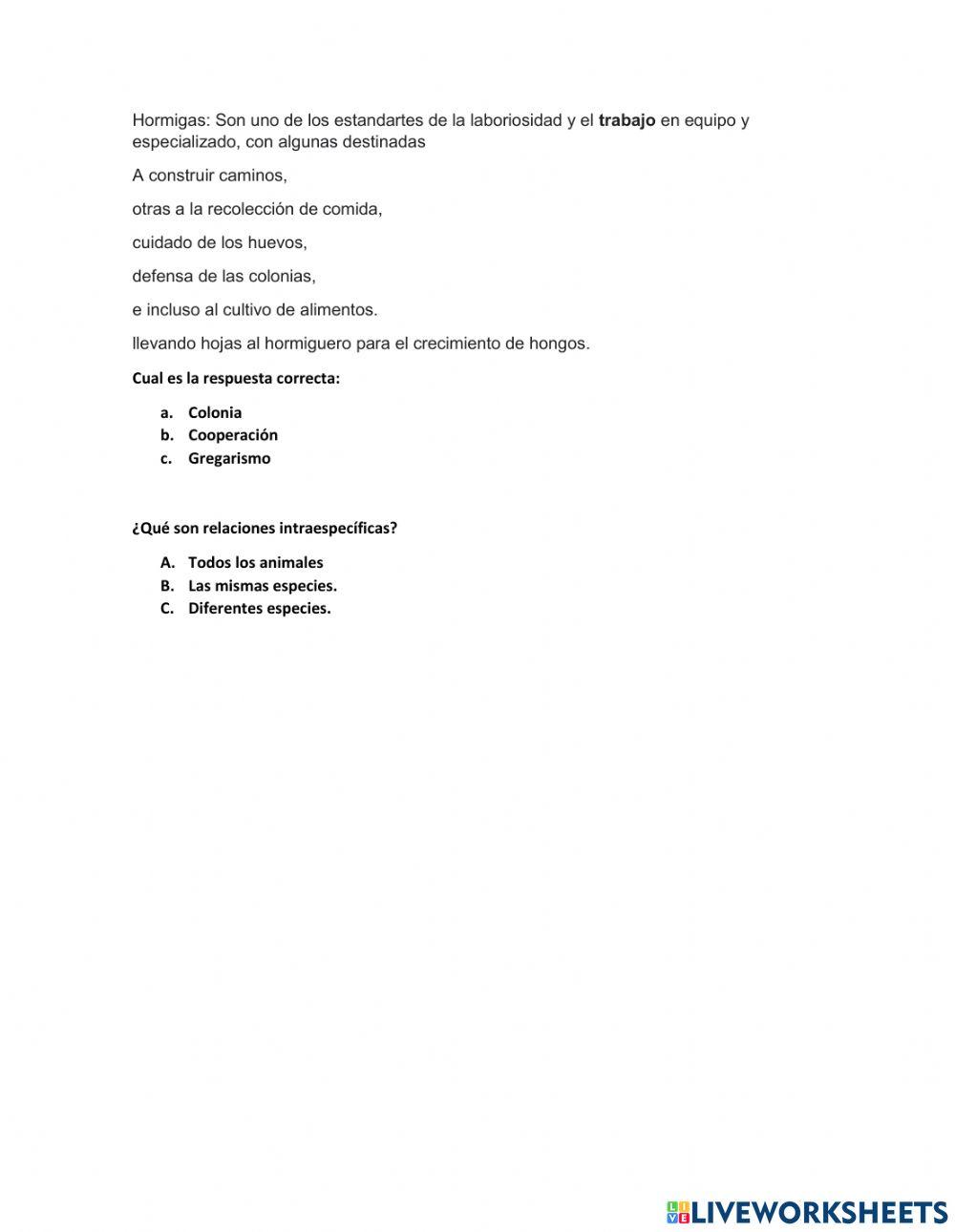 Evaluacion intrapersonal